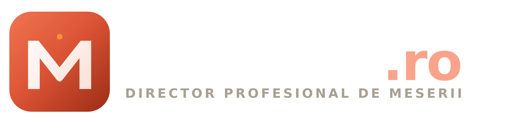 Meseriile.ro - Director Profesional de Meserii